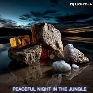 Peaceful night in the jungle