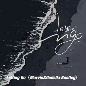Leeting go（Marvin&Godslla Boolteg）
