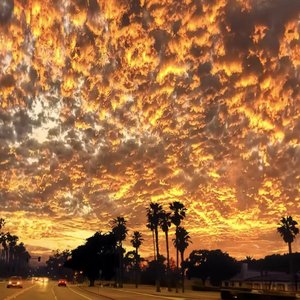 -彼岸花开无人归