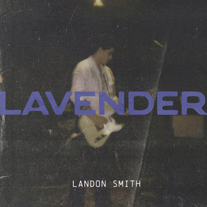 Lavender