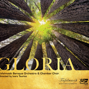 Gloria in D Major, RV 589: VI. Domine deus, Rex caelestis