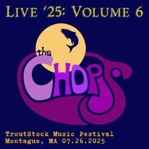 Salutations (Live at TroutStock Music Festival, Montague, MA 07/26/2025) (Live)