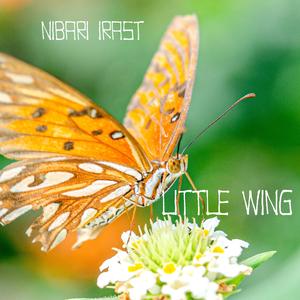 Little Wing