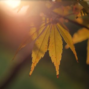 一片云下同路人