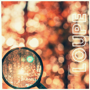 LOUPE