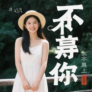 可惜不是你 (屿岸 Remix)