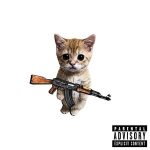 whydoifeellikedying (feat. BOYARDEE)