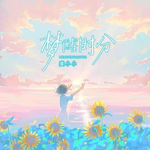 梦醒时分 (DJ豪大大版)