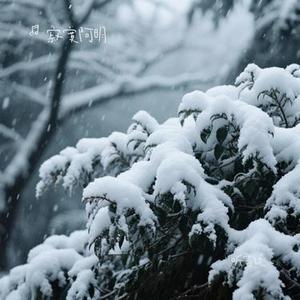 听雪说 (Cover 陈默默)