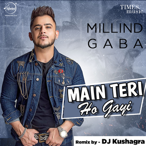 Main Teri Ho Gayi (Remix)