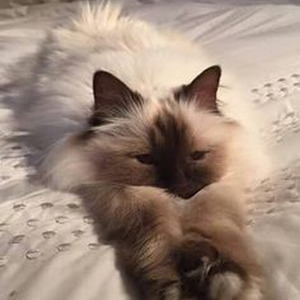 Don't Make Me Sad (slowed)