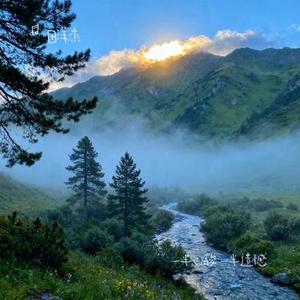 一半心酸 一半遗憾 (Cover 洋澜一)