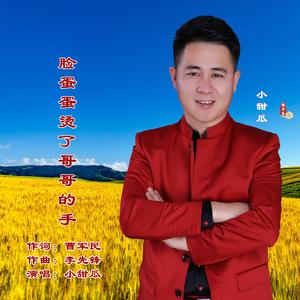 脸蛋蛋烫了哥哥的手 (爱艺乐柒DJRemix)