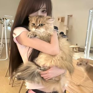 行者破天 (光明驱散黑暗 神明降临人间)