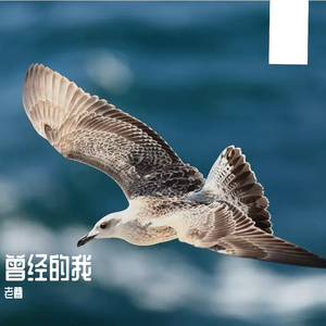 曾经的我