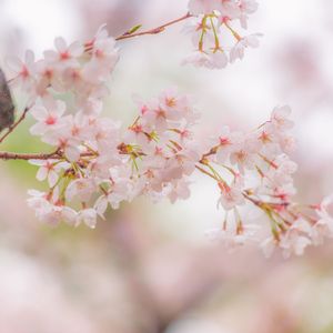 口水旋律3.0（Miracle remix）