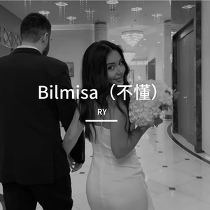 Bilmisa （不懂）