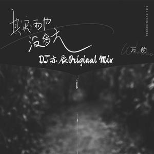万豹-其实雨也没多大（DJ亦辰Original Mix）