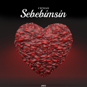 SEBEBIMSIN