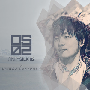 Only Silk 02 (Continuous DJ Mix)