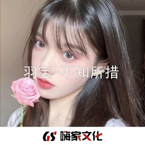 当爱情离开的时候 (DJ羽宝版)