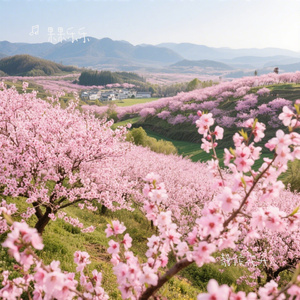 静候花开