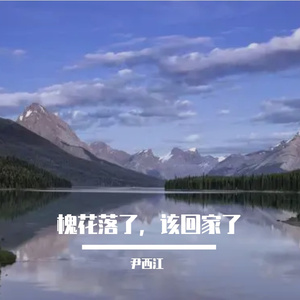 槐花落了，该回家了