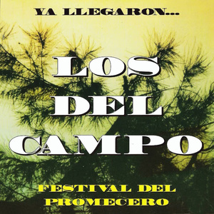 Cachilo