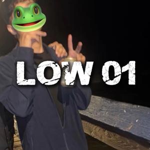 Low 01