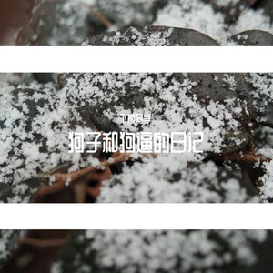 我们的仪式