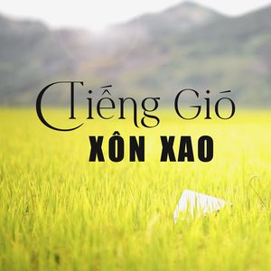 Tiếng Gió Xôn Xao