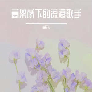 高架桥下的流浪歌手