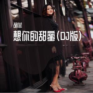 胡菲-胡菲 - 想你的甜蜜(DJ花都杰仔版）（胡菲 remix）