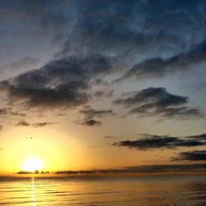 放纵地去爱她不管一切