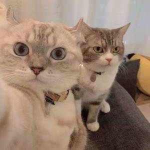 想把你留在这里