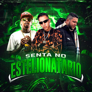 SENTA NO ESTELIONATARIO