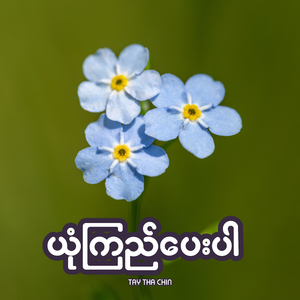 ယုံကြည်ပေးပါ