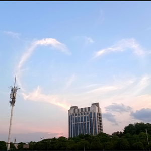 痴心绝对