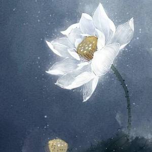 此心不改——记秦时明月盖聂（翻自 音频怪物）