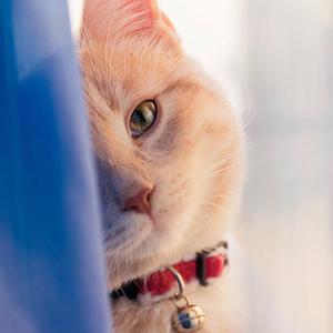 放不下的人是我(钢琴版)