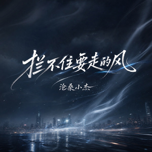 拦不住要走的风