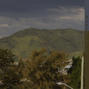 Quítale un girasol al campo