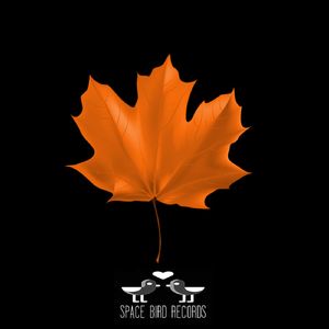 Vector (Oriignal Mix)