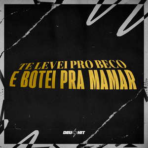 TE LEVEI PRO BECO E BOTEI PRA MAMAR