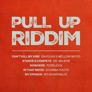 In That Mood (Pull Up Riddim)