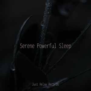 Echoes of the Infinite Void