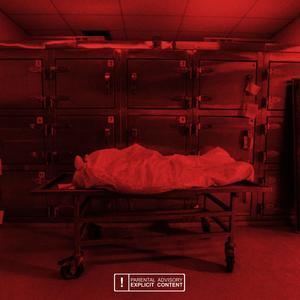 Brancard (Freestyle)