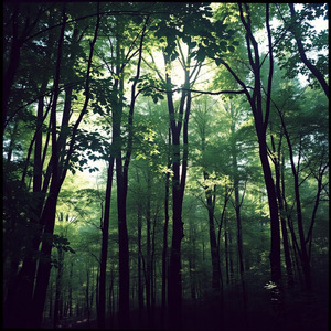 しっとりした深呼吸