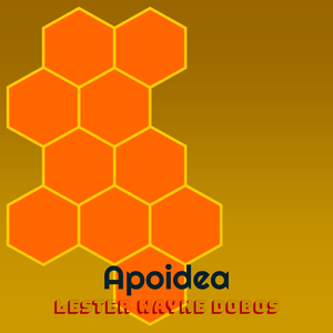 Apoidea