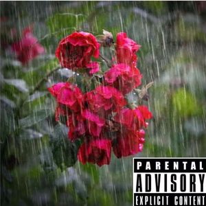 【Melodic】“梅雨季玫瑰” C Minor 123bpm